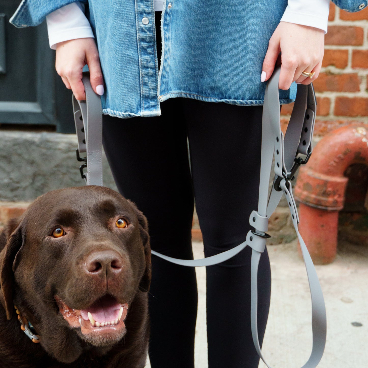 All Ways Leash