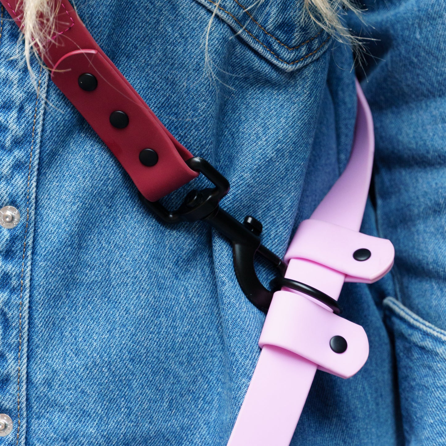 All Ways Leash