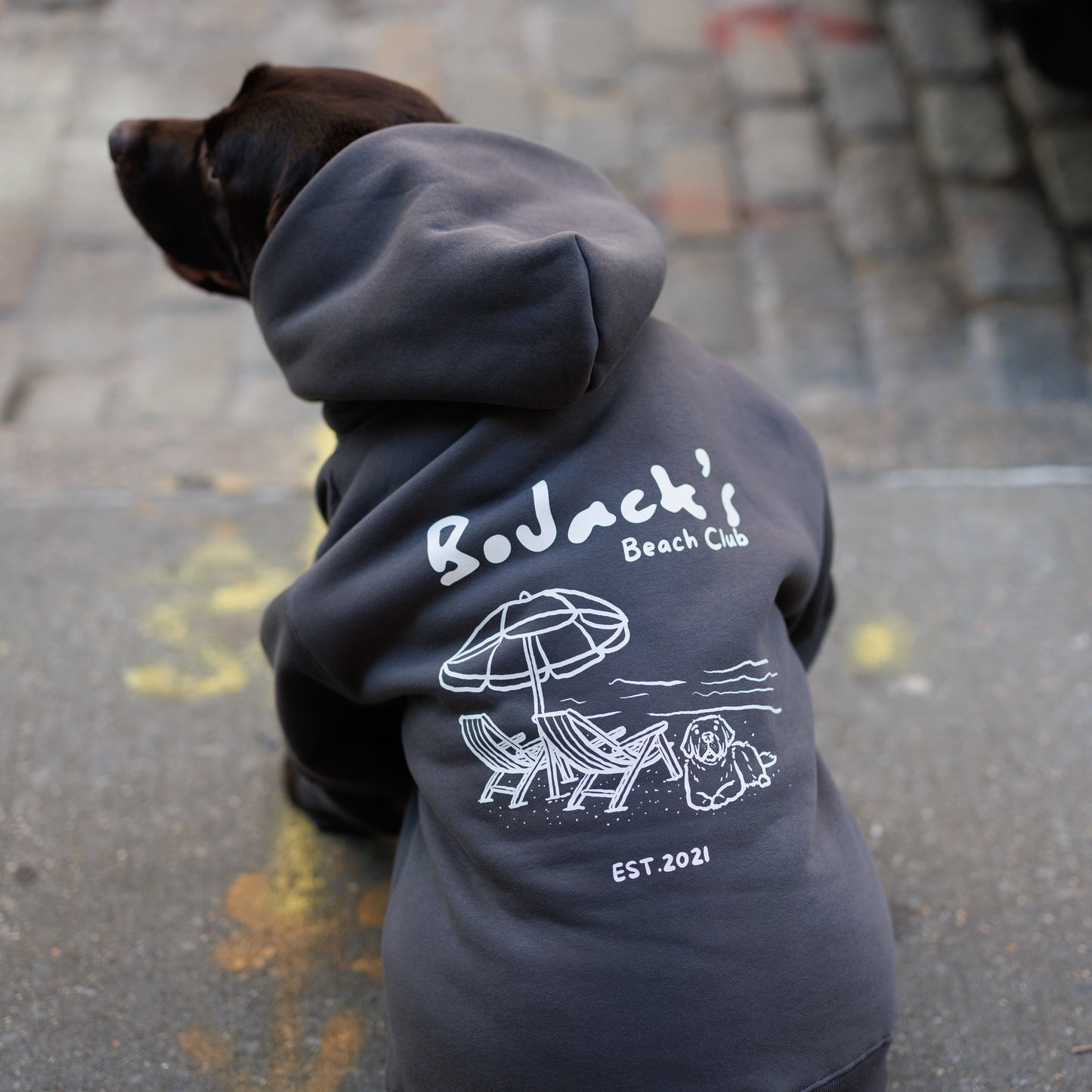 BoJack's Beach Club Hoodie - Charcoal