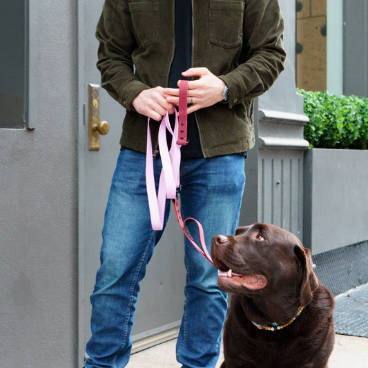 All Ways Leash
